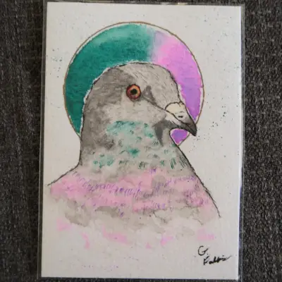 Rock Dove Pigeon aceo art card thumbnail 1