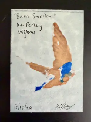 Barn Swallow aceo art card thumbnail 3