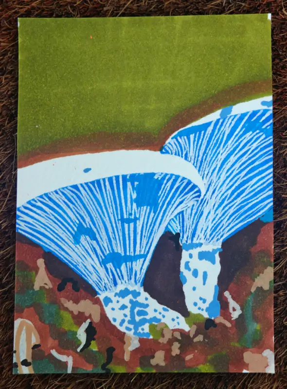 Mushrooms # 1 - Indigo Milk Cap aceo art card
