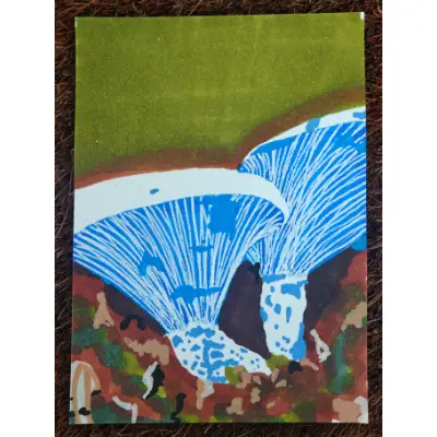 Mushrooms # 1 - Indigo Milk Cap aceo art card thumbnail 1