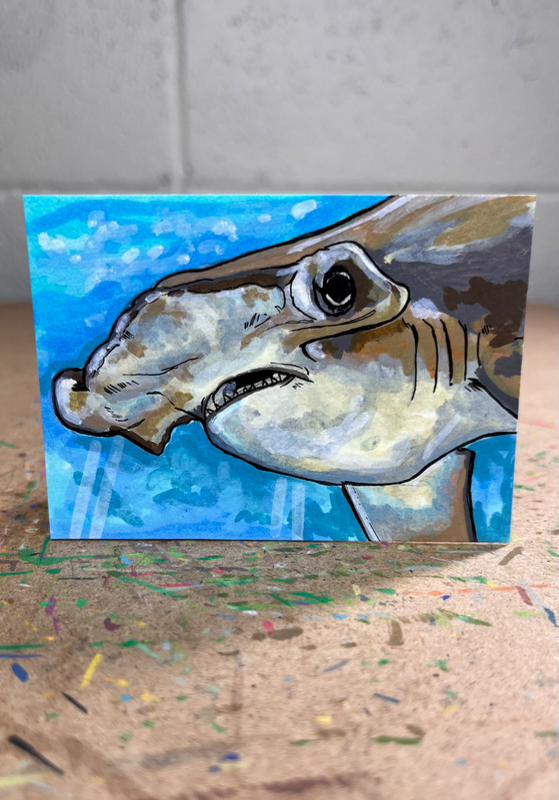 Scalloped Hammerhead Shark aceo art card