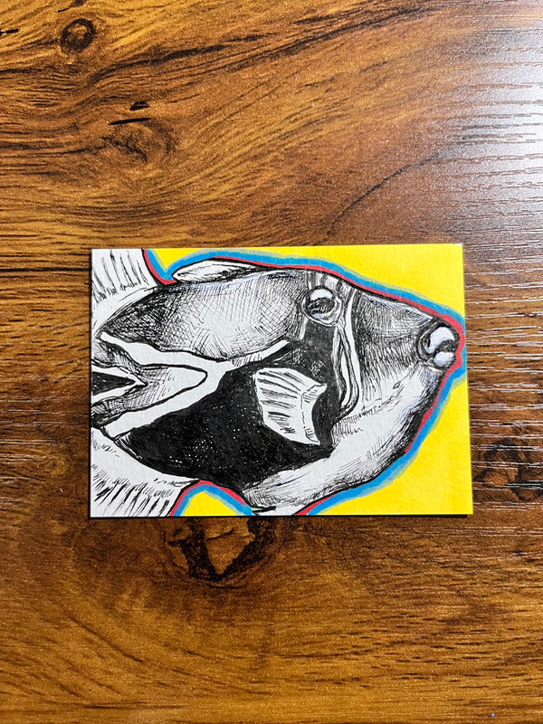 Humu aceo art card