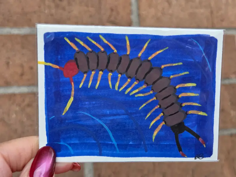 Centipede aceo art card