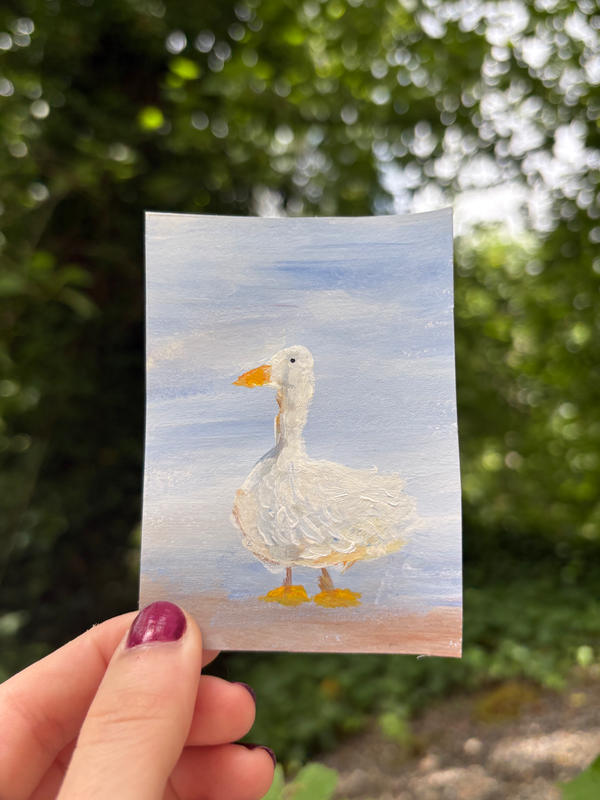 Original ACEO Duck Painting Mini Art Duck Bird Acrylic OOAK, Goose mini aceo art card