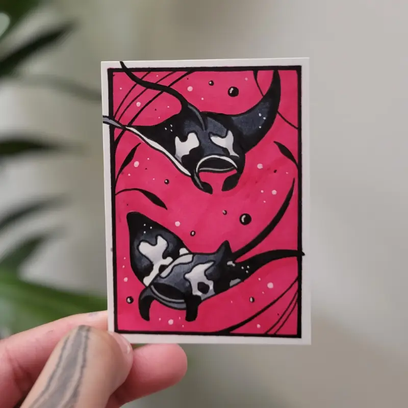Cursed Manta Rays aceo art card