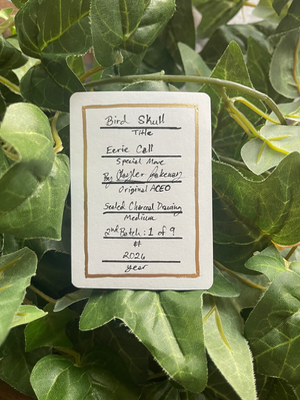 Bird Skull, 2nd batch 1/9 aceo art card thumbnail 2