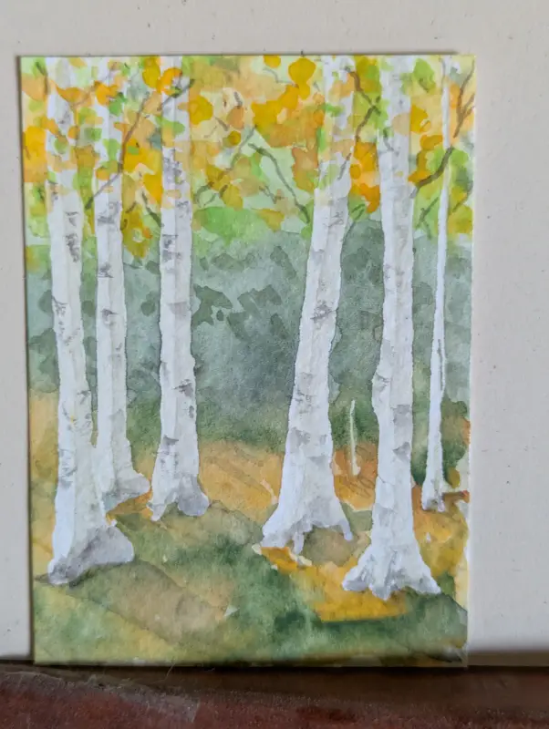 ACEO Original Watercolor Aspen Forest Green Gold Trees aceo art card