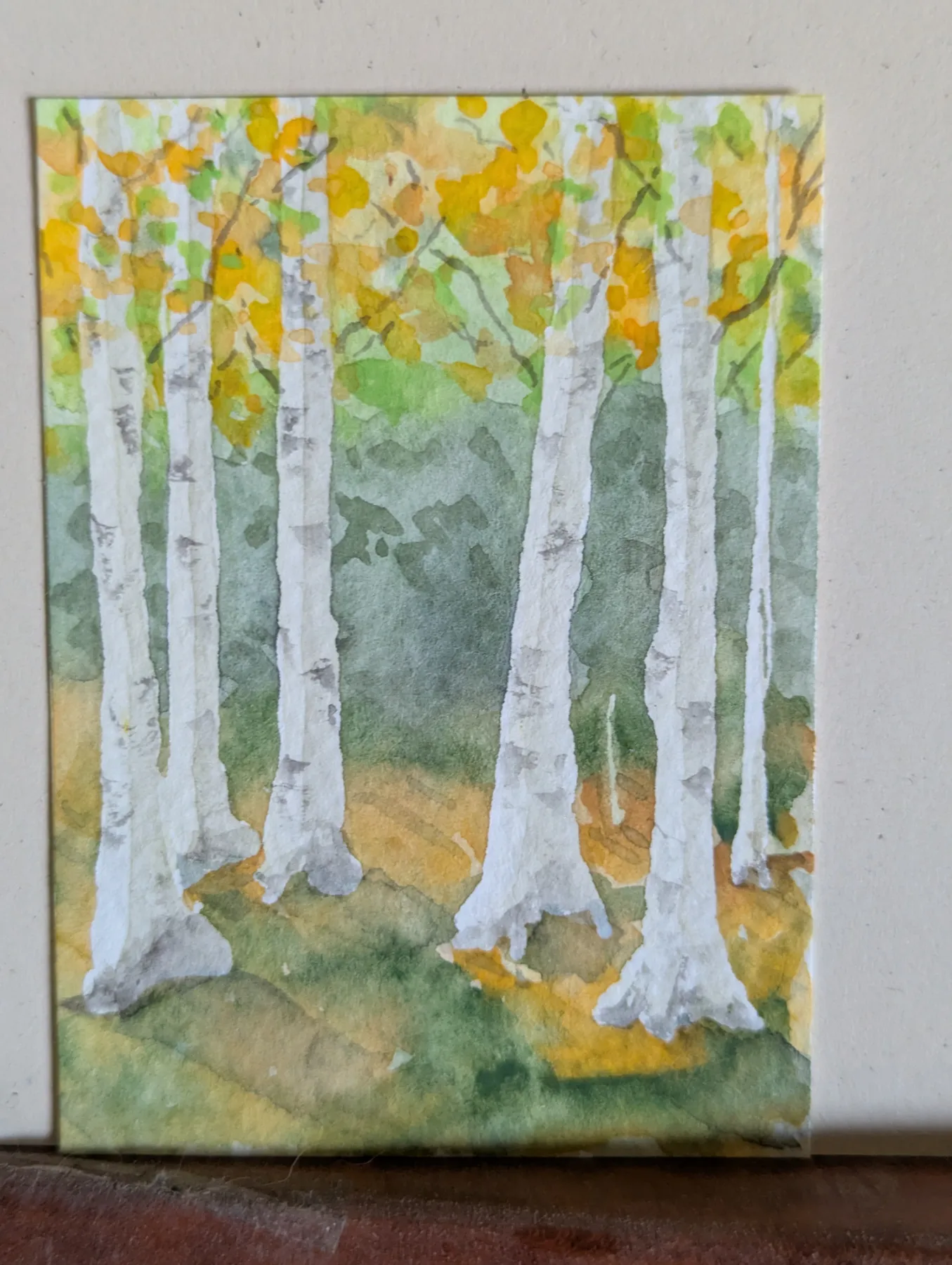 ACEO Original Watercolor Aspen Forest Green Gold Trees aceo art card