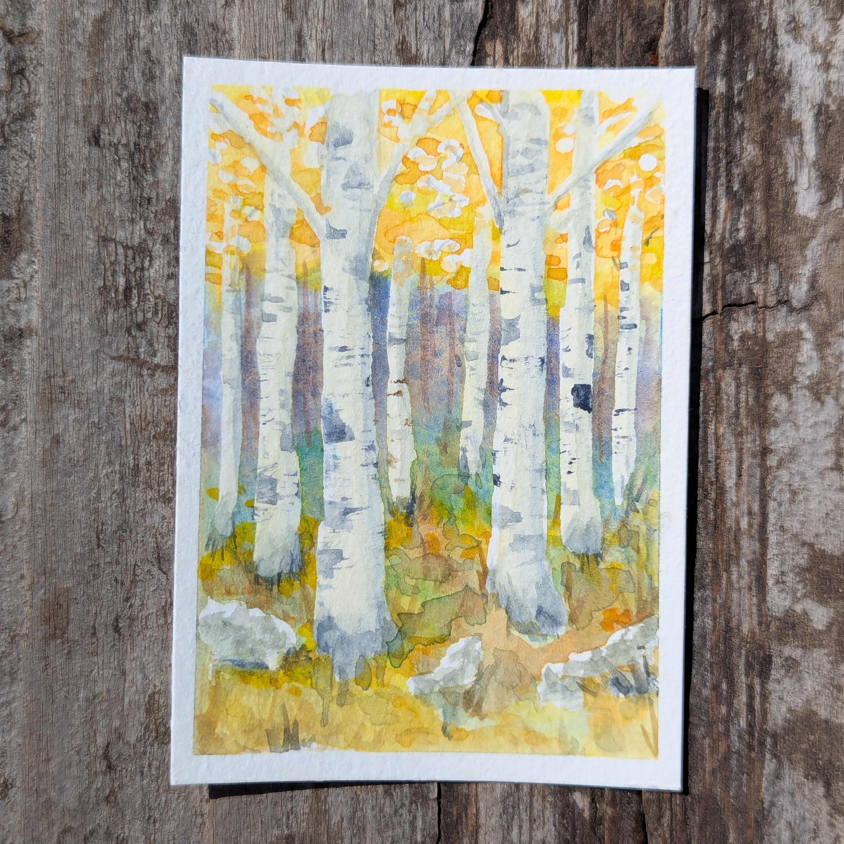 High Country #3 aceo art card