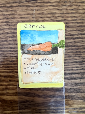 Carrot 2/99 aceo art card thumbnail 2