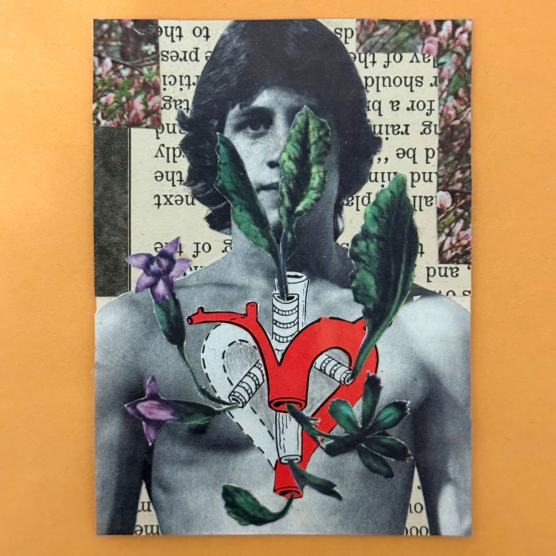 Floracardia aceo art card