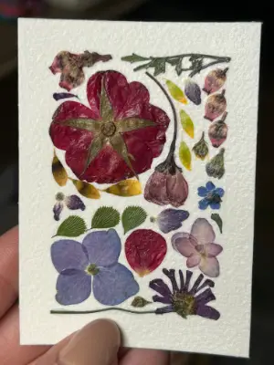 Pressed Flowers #11 aceo art card thumbnail 2
