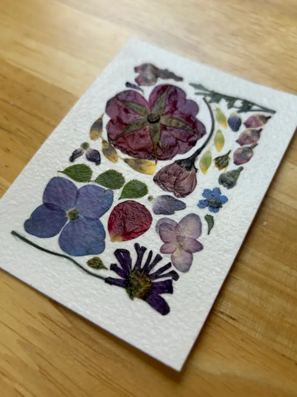 Pressed Flowers #11 (Floral Series) aceo art card