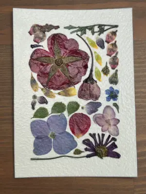 Pressed Flowers #11 aceo art card thumbnail 1