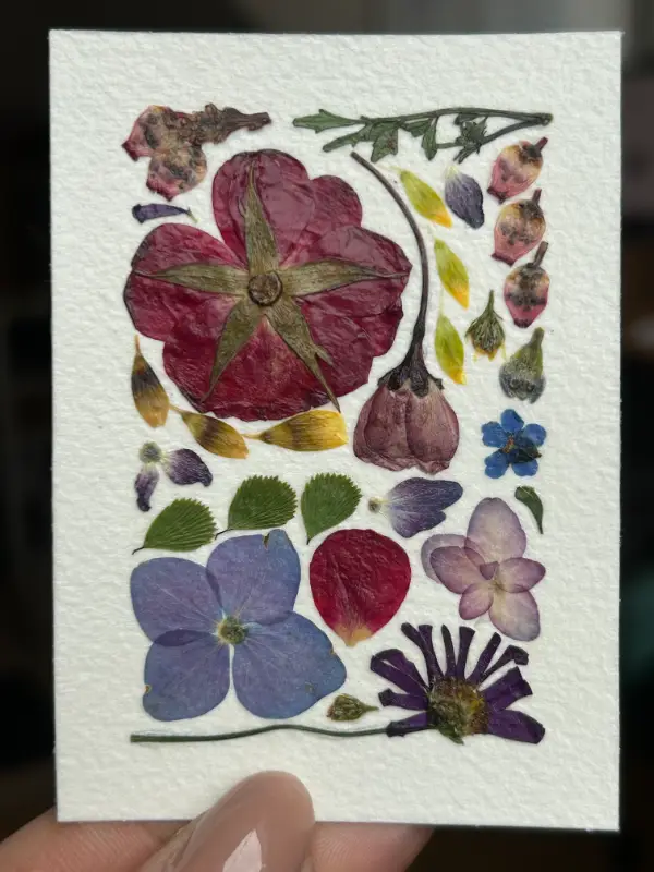 Pressed Flowers #11 (Floral Series) aceo art card