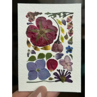 Pressed Flowers #11 (Floral Series) aceo art card thumbnail 1