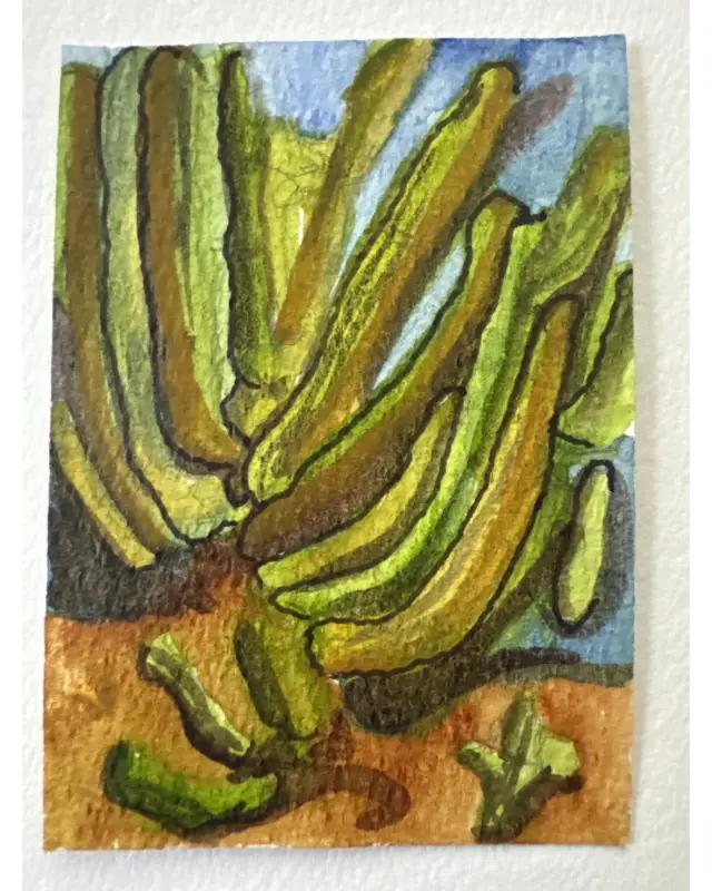 Arizona IX aceo art card