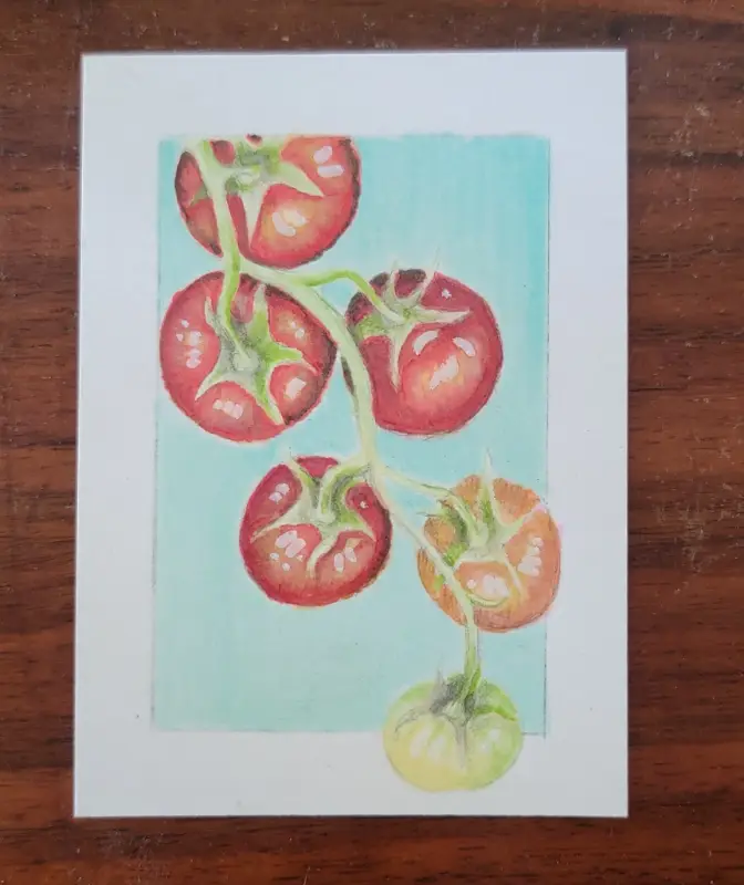 ACEO Original Marker Drawing - Florida, Tomato, Nature, Fruit, Garden aceo art card