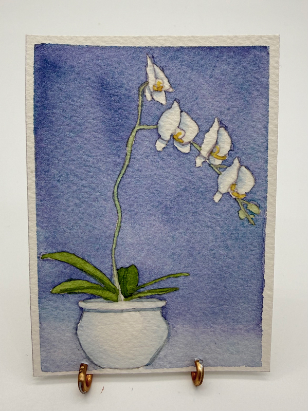 White Orchid aceo art card