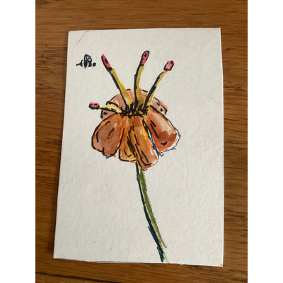 Flower with a bumble bee aceo art card thumbnail 2