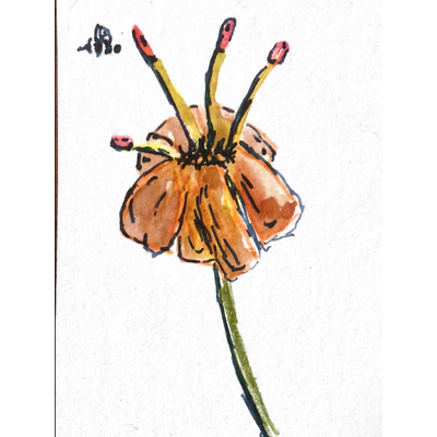 Flower with a bumble bee aceo art card thumbnail 1