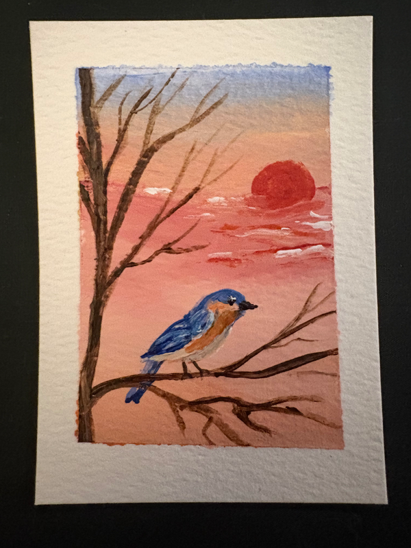 Bluebird at Sunset aceo art card