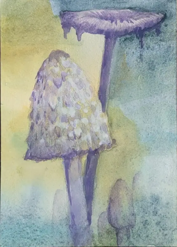 Mushrooms aceo art card