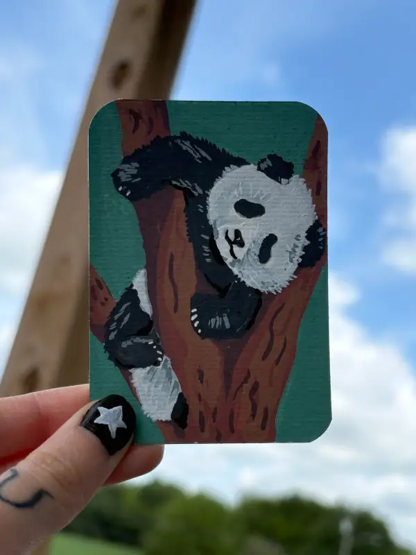 Panda (4/4) aceo art card