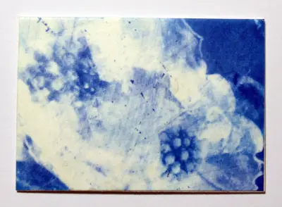 Flowers Cyanotype Original Art ACEO aceo art card thumbnail 2