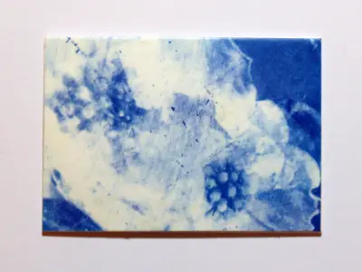 Flowers Cyanotype Original Art ACEO aceo art card thumbnail 1