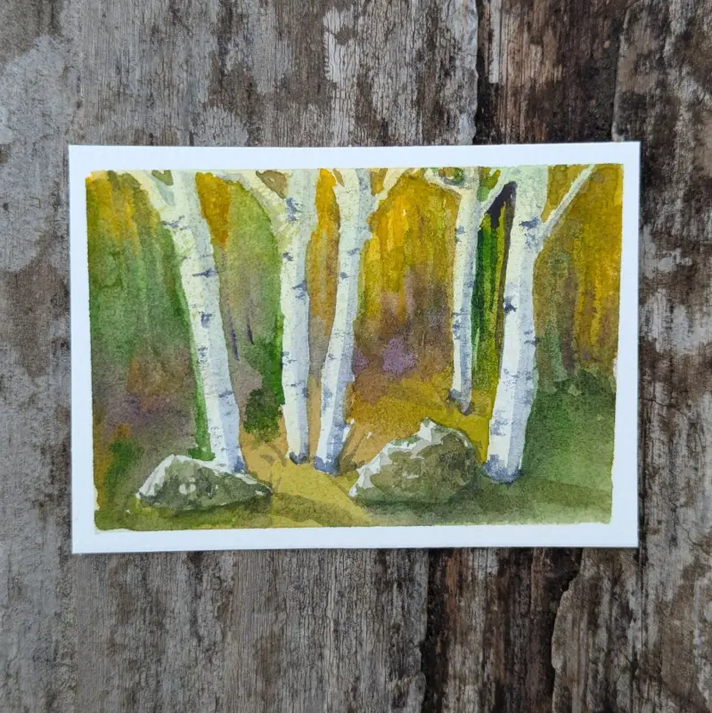 Birch Trees and Rocks aceo art card