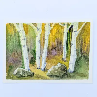 Birch Trees and Rocks aceo art card thumbnail 3