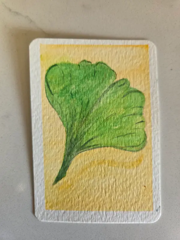 Ginko aceo art card