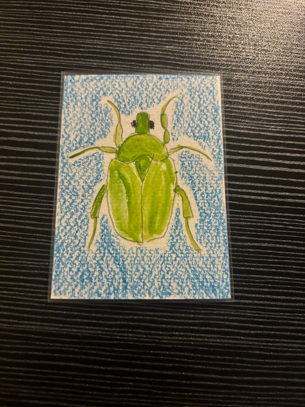 Green beetle aceo art card