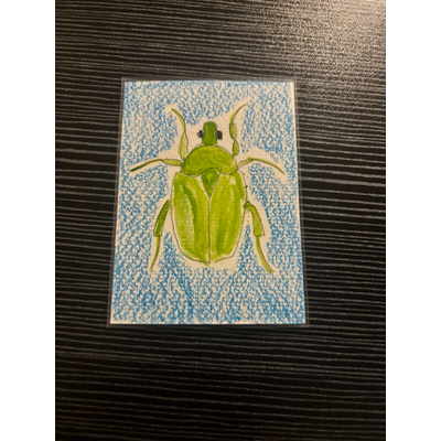 Green beetle aceo art card thumbnail 1