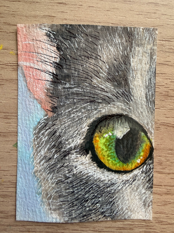 Peekaboo kitty aceo art card