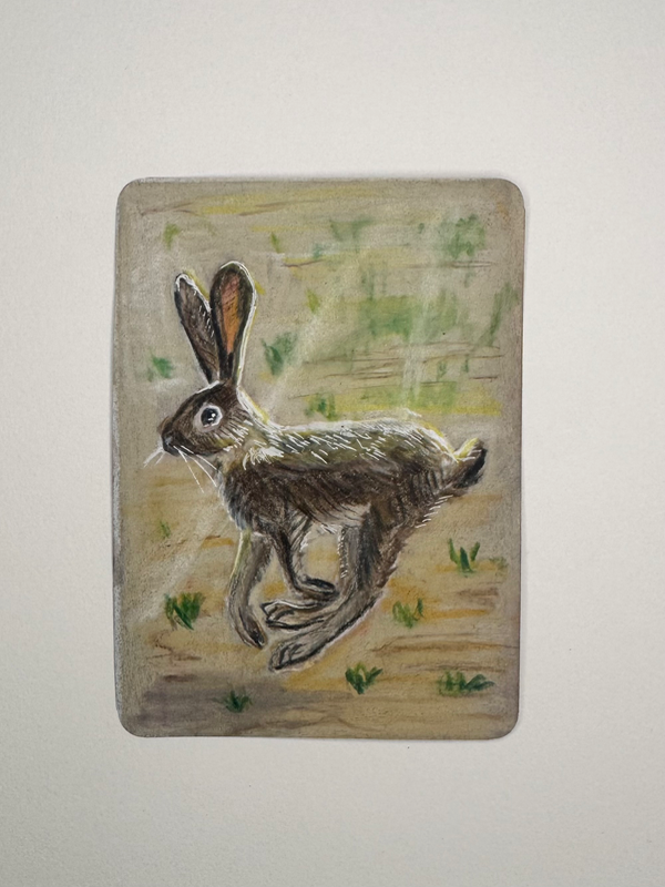 Running Hare aceo art card