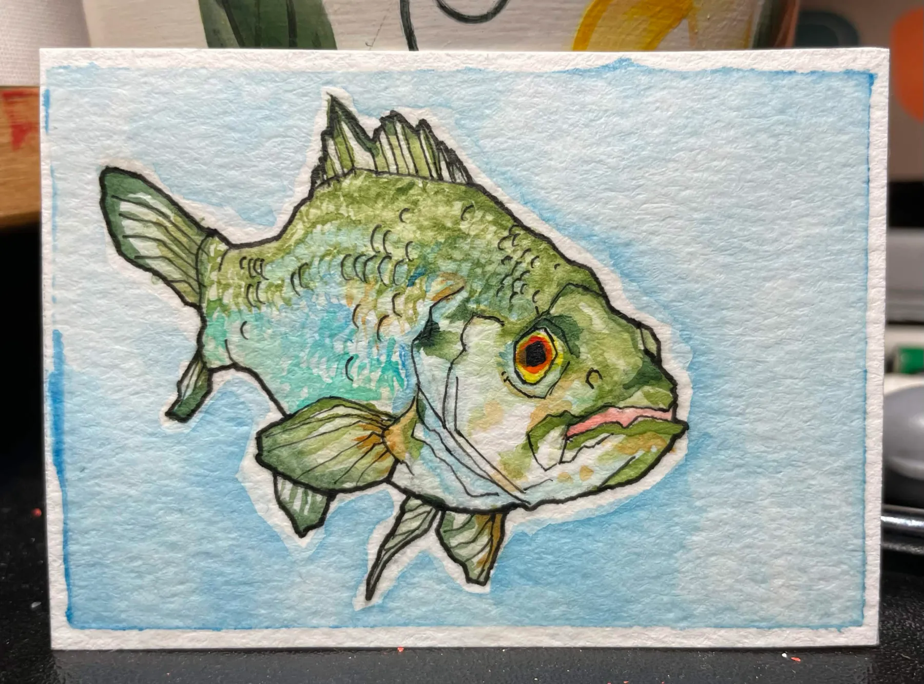 Small Mouth Bass aceo art card