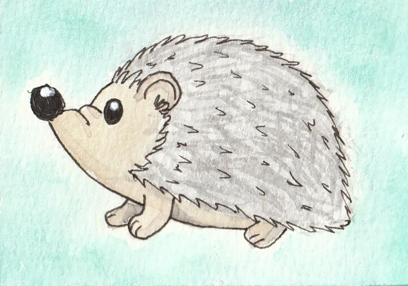 Curious Hedgie aceo art card