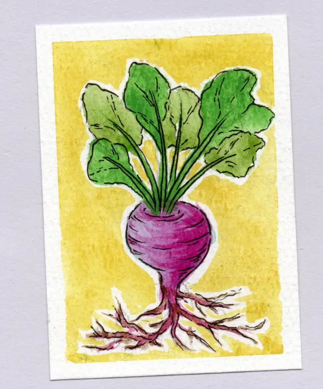 R.A.D aceo art card