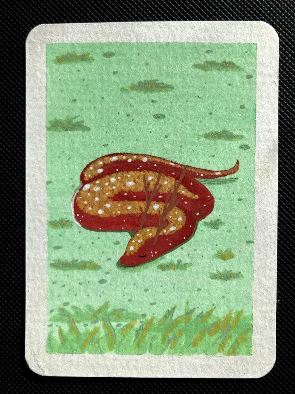 Sleeping Copper aceo art card
