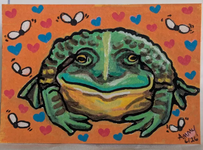 American Bull Frog Snack Time aceo art card