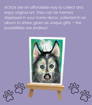 Blue-Eyed Siberian Husky ACEO - Colored Pencil Drawing on Illustration Board aceo art card thumbnail 3