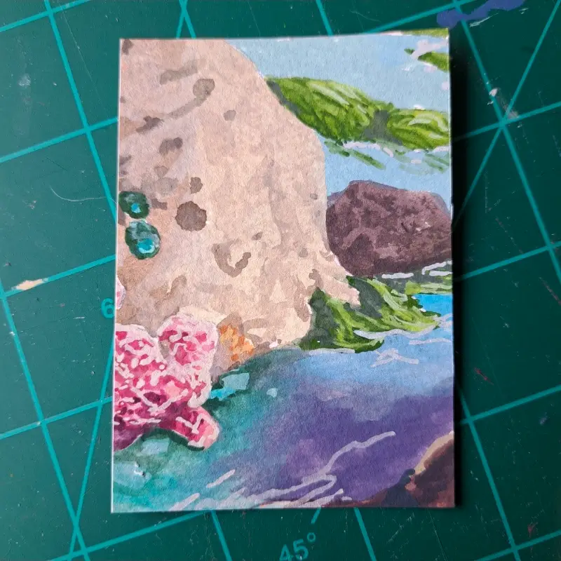 Tide Pool Polyptych 2/6 aceo art card
