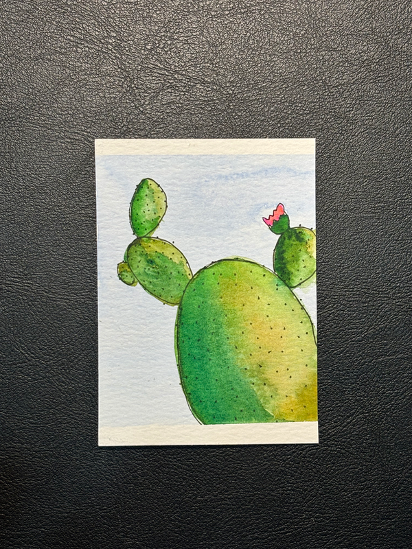 Cactus Flower aceo art card