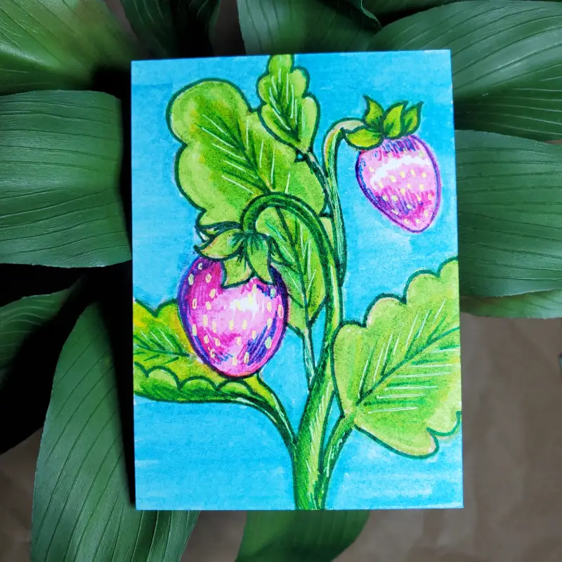 Strawberry Stem aceo art card