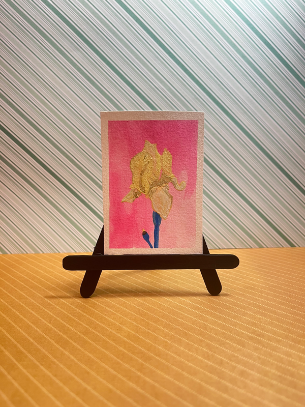 Pride Flower (Pan) aceo art card