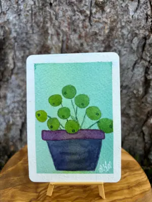 Pilea : Series III aceo art card thumbnail 2