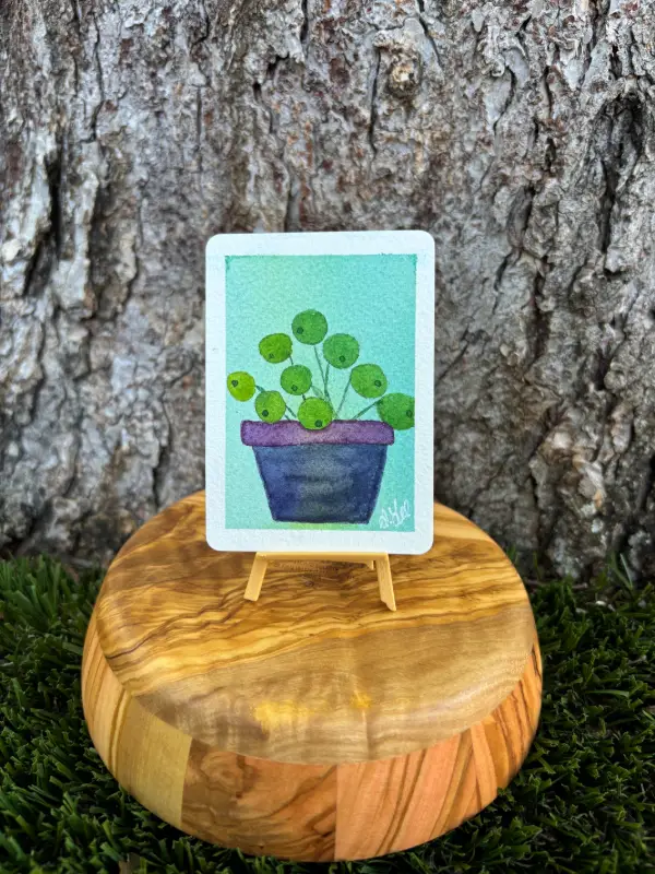 Pilea : Series III aceo art card