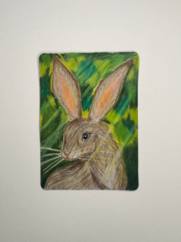Rabbit aceo art card